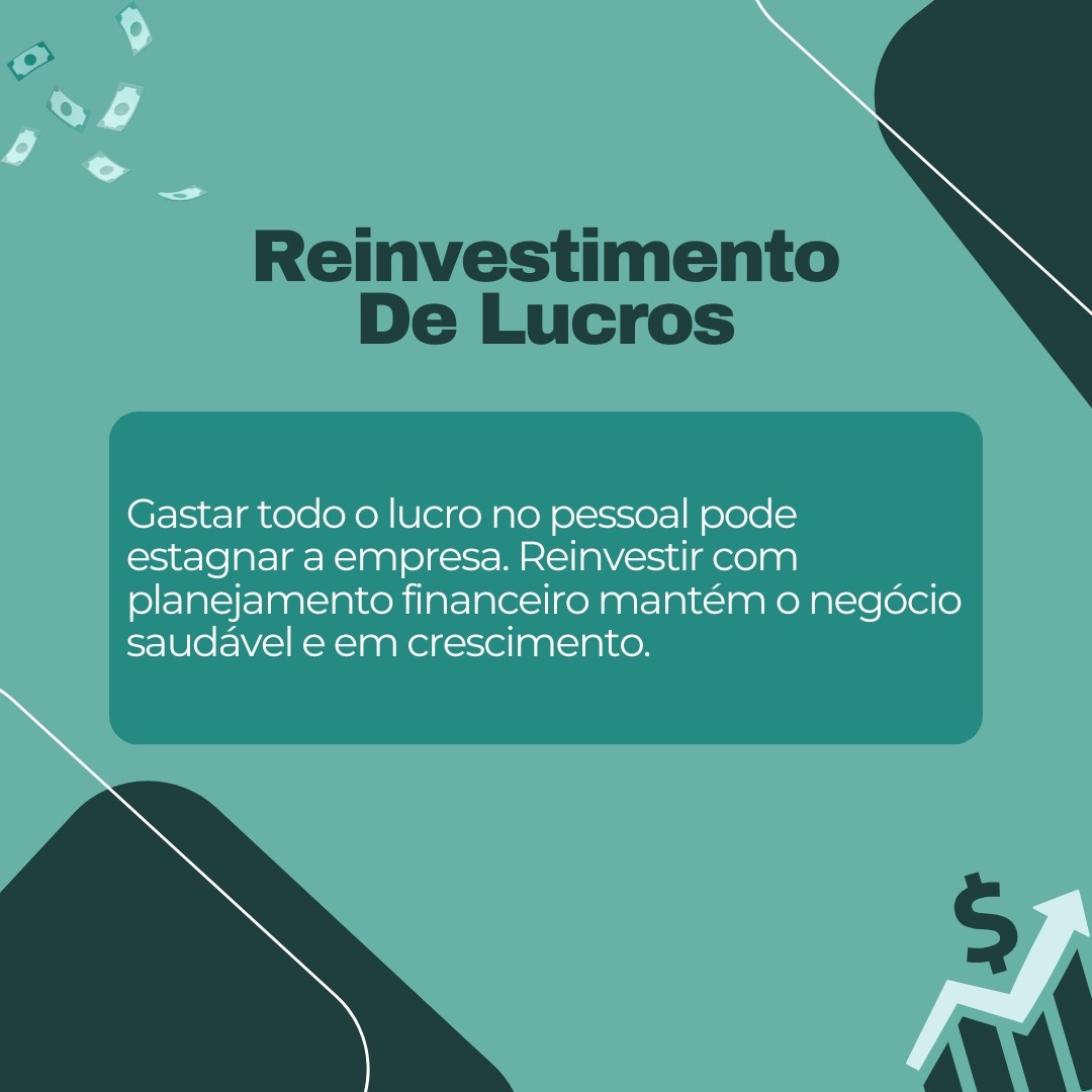 Reinvestimento de Lucros